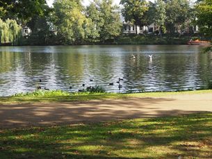 Radtour Hamburg Außenalster