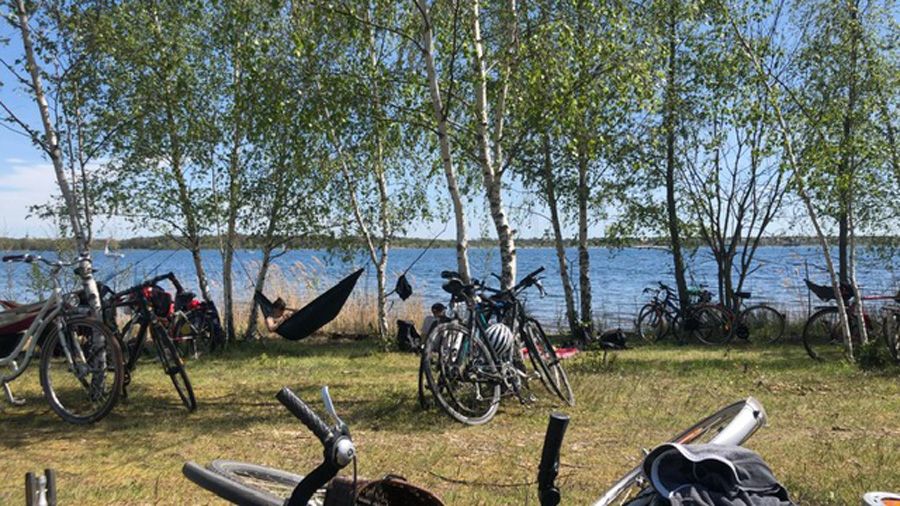 Dreisprung über die Elbe: Inseltour